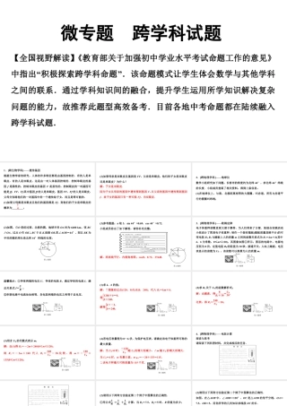 2024海南中考数学二轮重点专题研究 微专题 跨学科试题（课件）.pptx