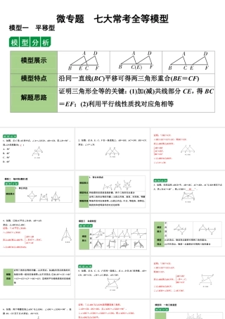 2024海南中考数学二轮重点专题研究 微专题 七大常考全等模型（课件）.pptx