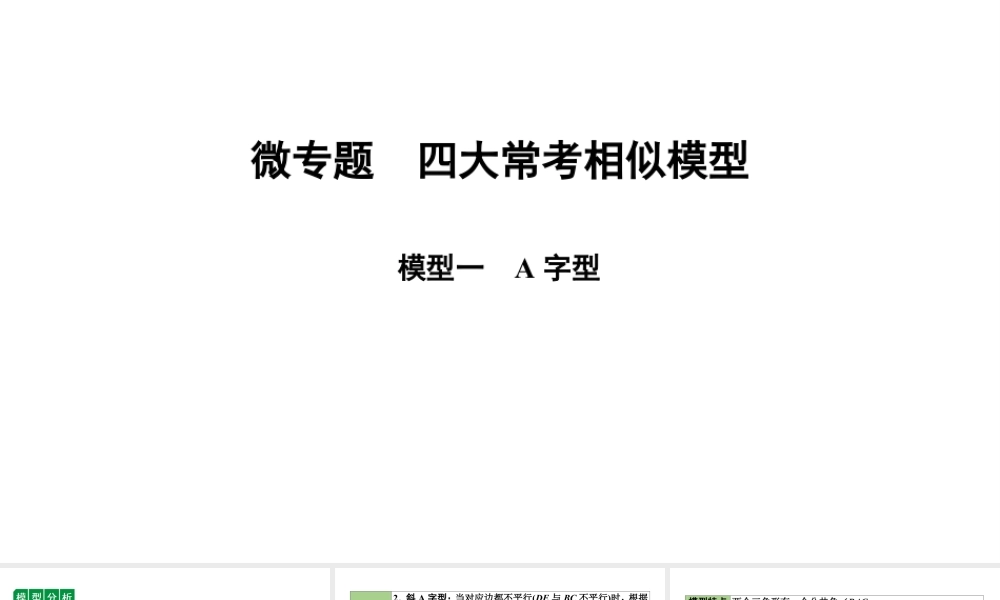 2024海南中考数学二轮重点专题研究 微专题 四大常考相似模型（课件）.pptx