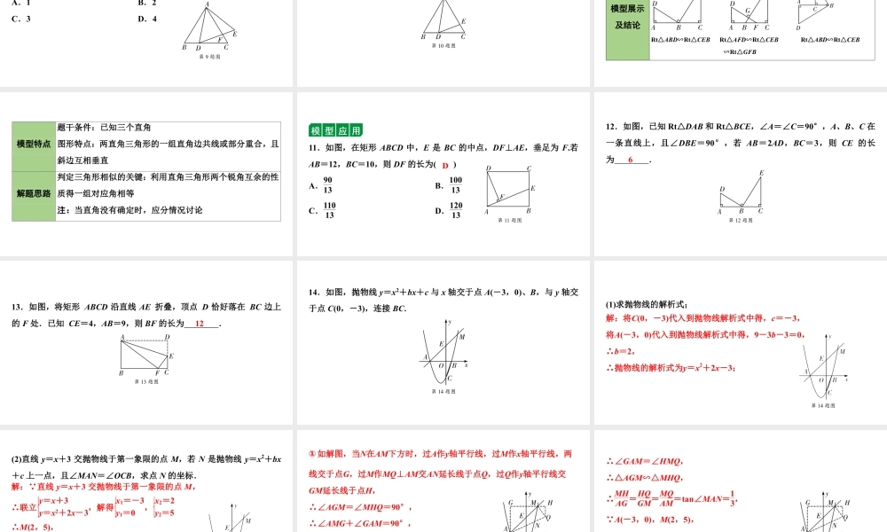 2024海南中考数学二轮重点专题研究 微专题 四大常考相似模型（课件）.pptx