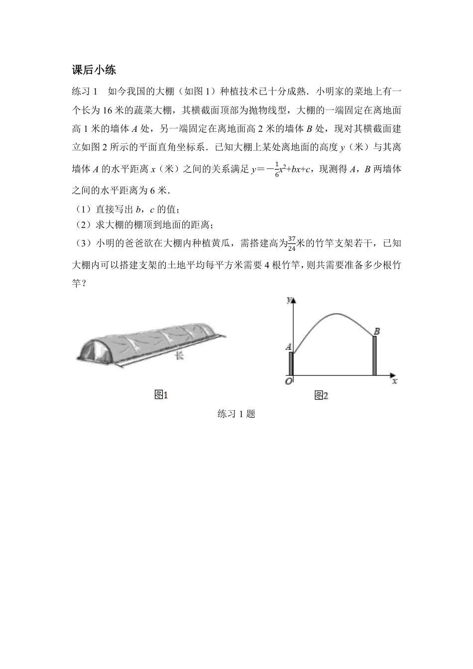 2024河南中考数学备考重难专题:抛物线型实际应用题导学案【含答案】.pdf_第4页