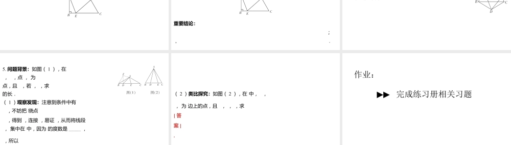 2024河南中考数学二轮复习微专题 半角模型探究系列 课件.pptx