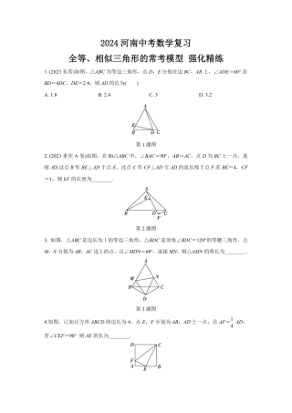 2024河南中考数学复习 全等、相似三角形的常考模型 强化精练 (含答案).pdf