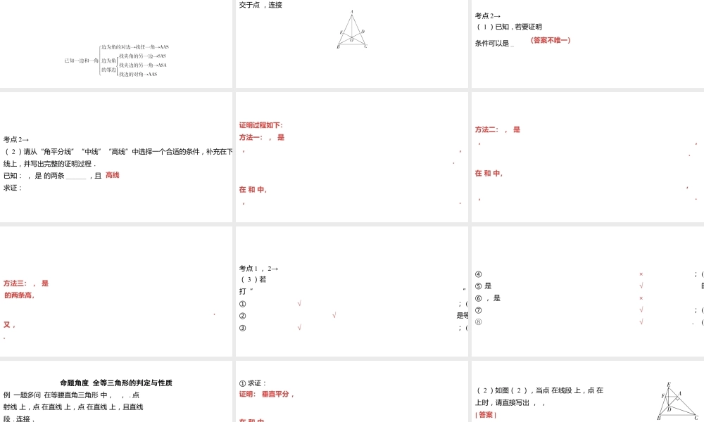 2024河南中考数学一轮知识点复习专题 全等三角形 课件.pptx