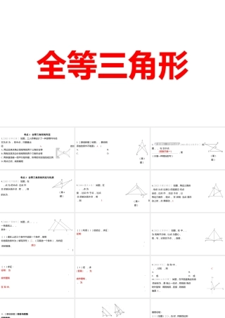2024河南中考数学一轮知识点训练复习专题  全等三角形  (课件).pptx
