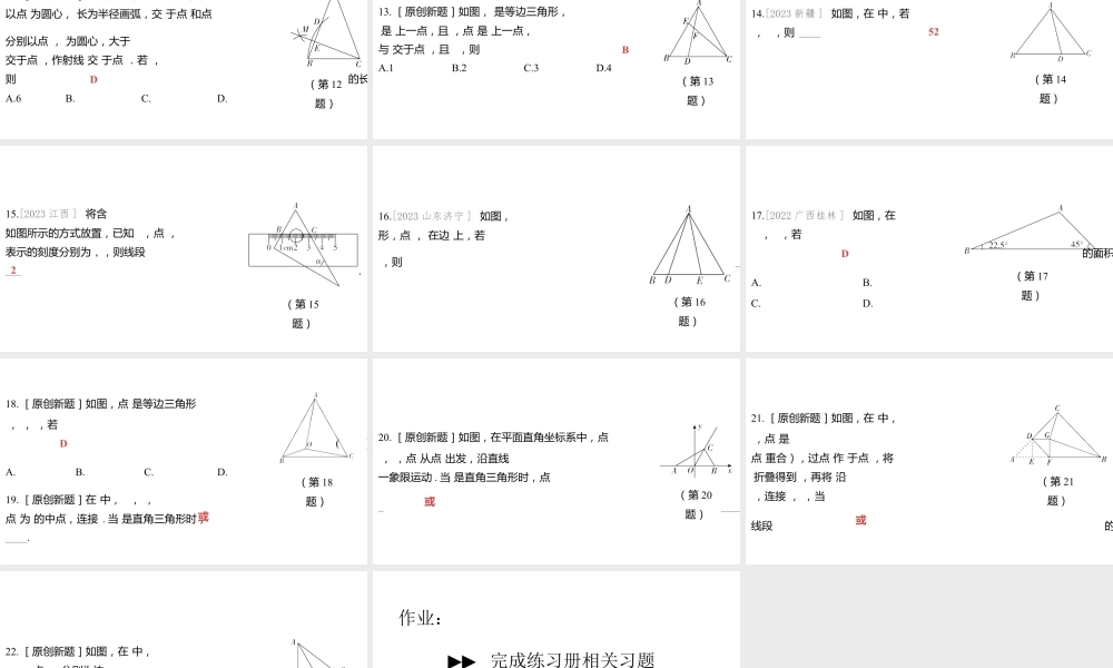 2024河南中考数学一轮知识点训练复习专题  特殊三角形及其性质  (课件).pptx