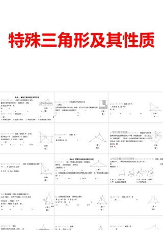 2024河南中考数学一轮知识点训练复习专题  特殊三角形及其性质  (课件).pptx