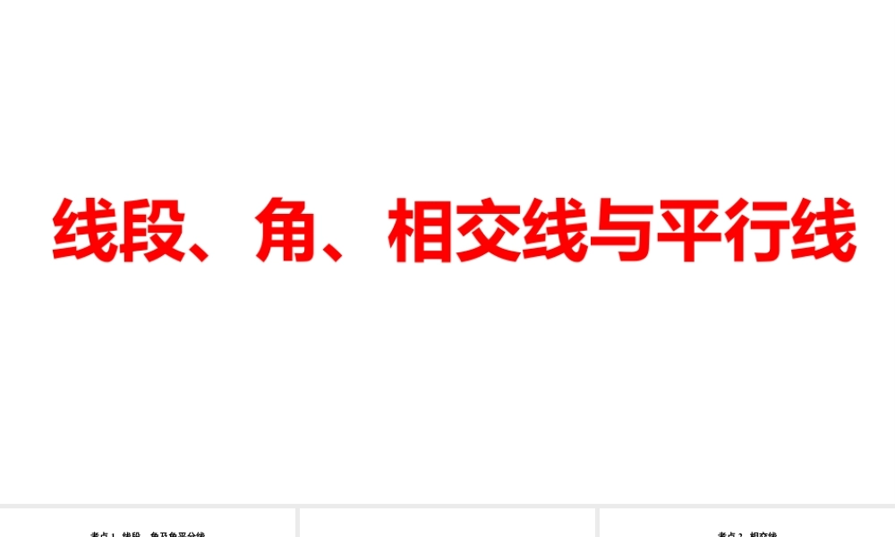 2024河南中考数学一轮知识点训练复习专题  线段、角、相交线与平行线  (课件).pptx