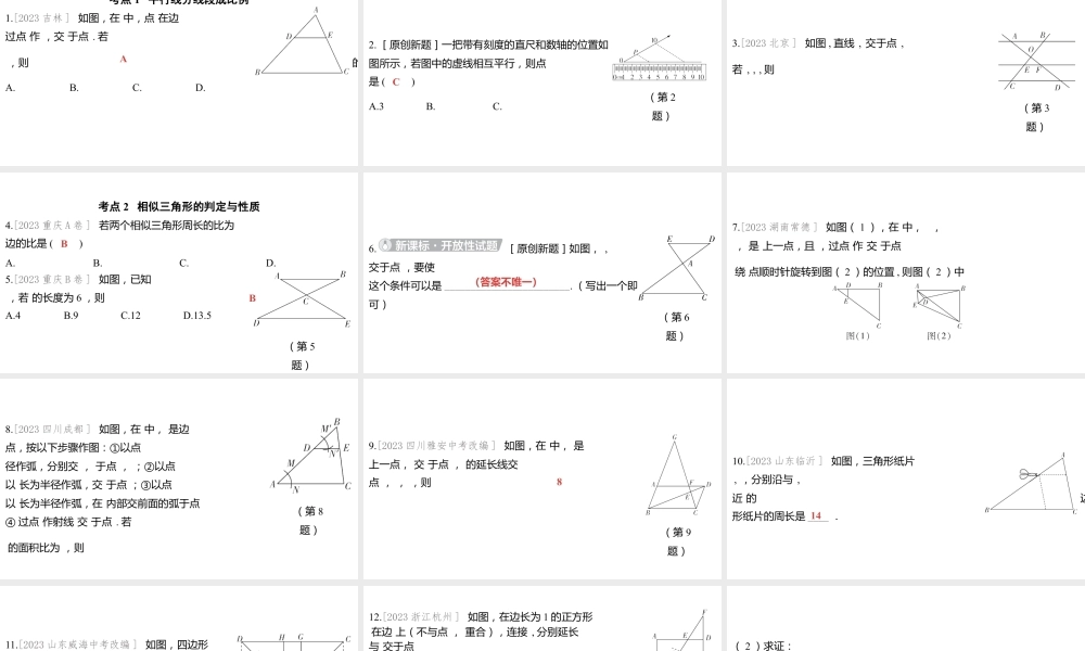 2024河南中考数学一轮知识点训练复习专题  相似三角形  (课件).pptx