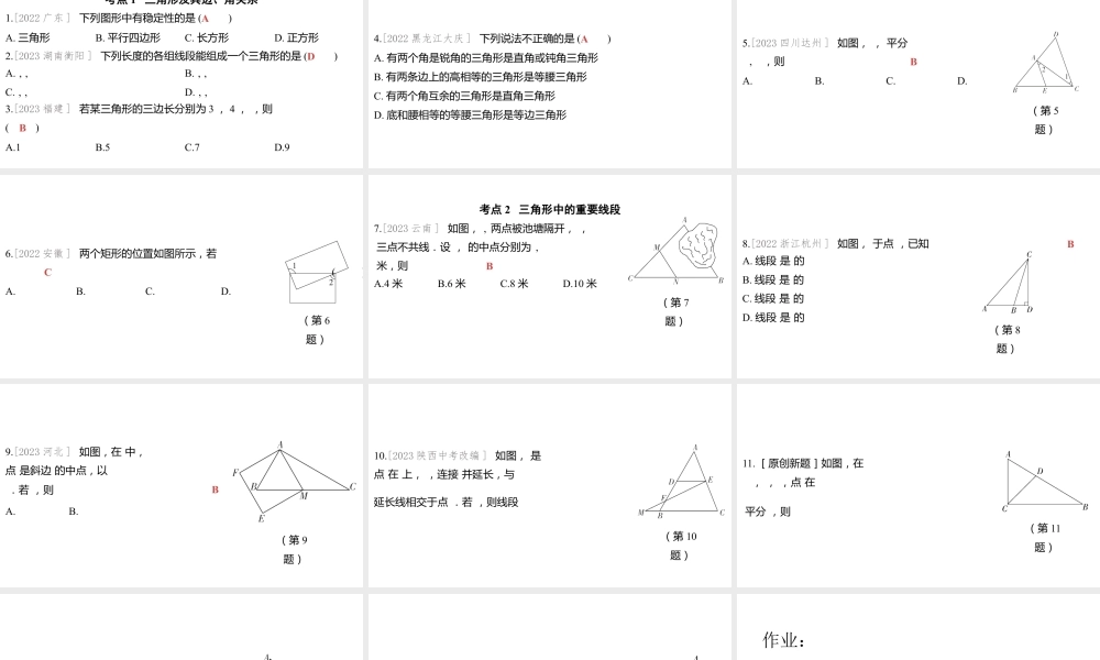 2024河南中考数学一轮知识点训练复习专题  一般三角形及其性质  (课件).pptx