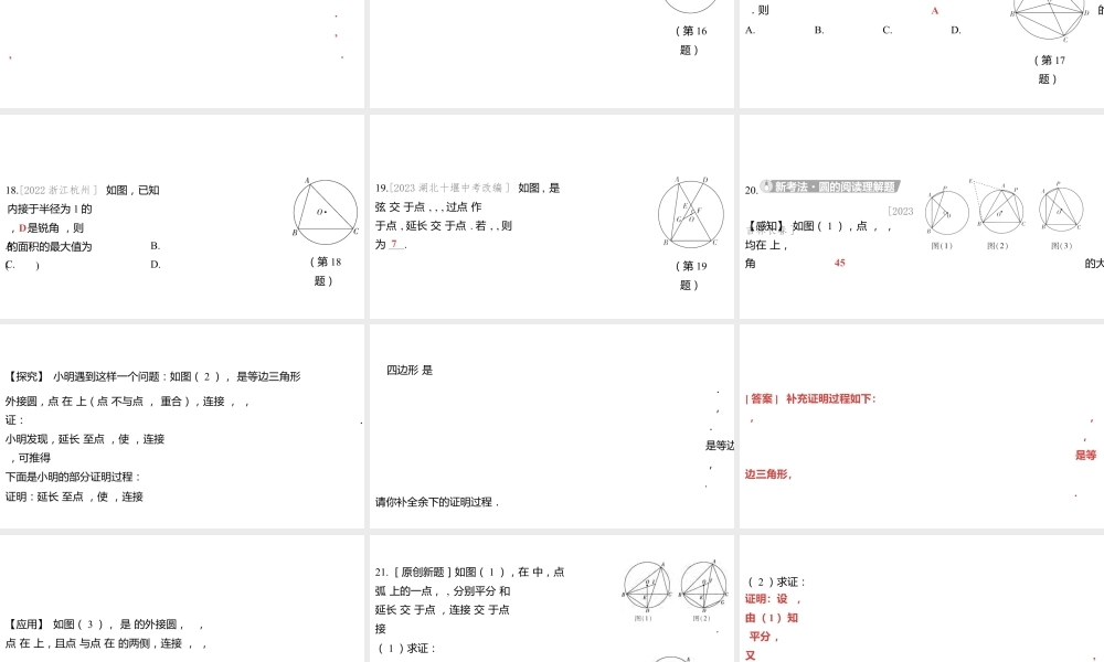 2024河南中考数学一轮知识点训练复习专题  圆的基本性质  (课件).pptx