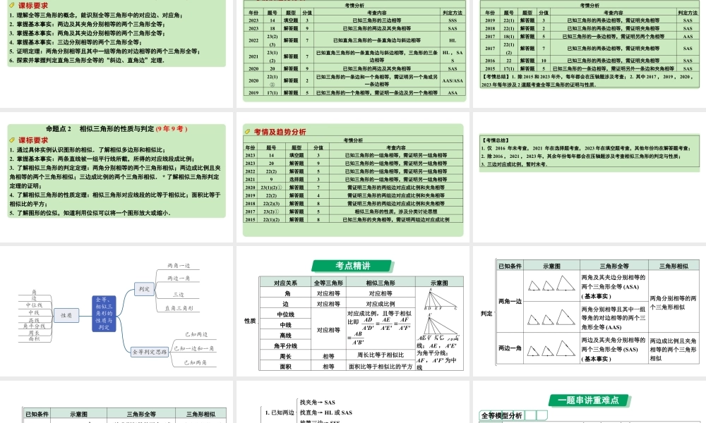 2024河南中考数学专题复习 全等、相似三角形的性质与判定 课件.pptx