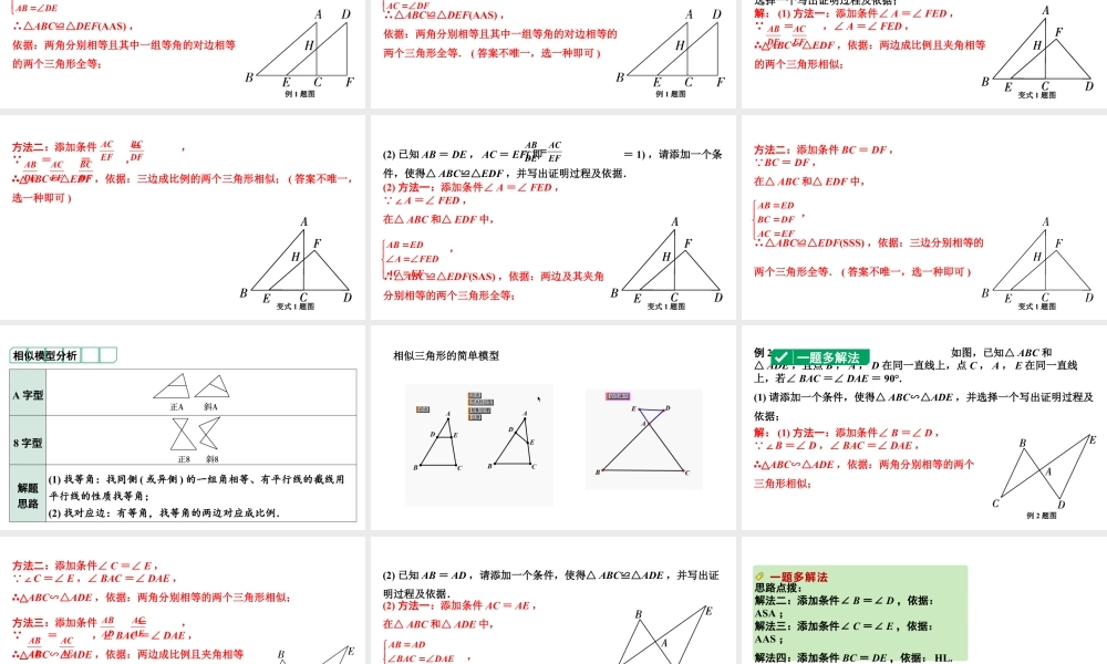 2024河南中考数学专题复习 全等、相似三角形的性质与判定 课件.pptx