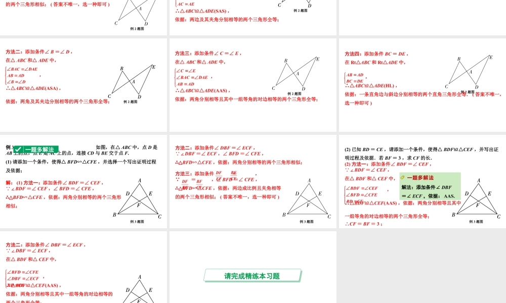 2024河南中考数学专题复习 全等、相似三角形的性质与判定 课件.pptx