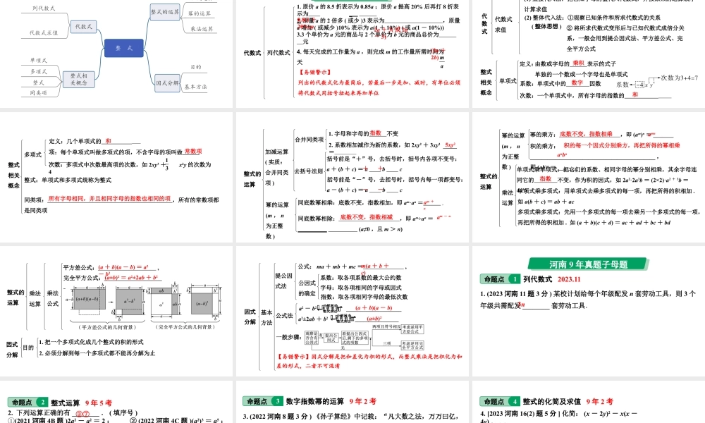 2024河南中考数学专题复习 整式 课件.pptx