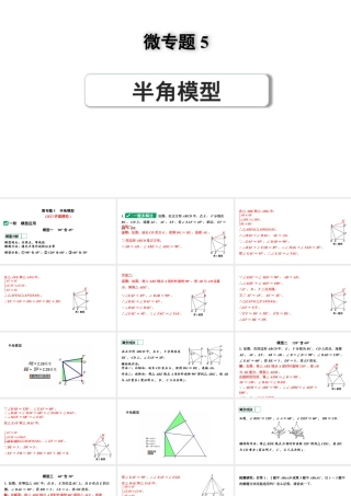 2024河南中考数学专题复习第三部分 题型二 微专题5 半角模型 课件.pptx