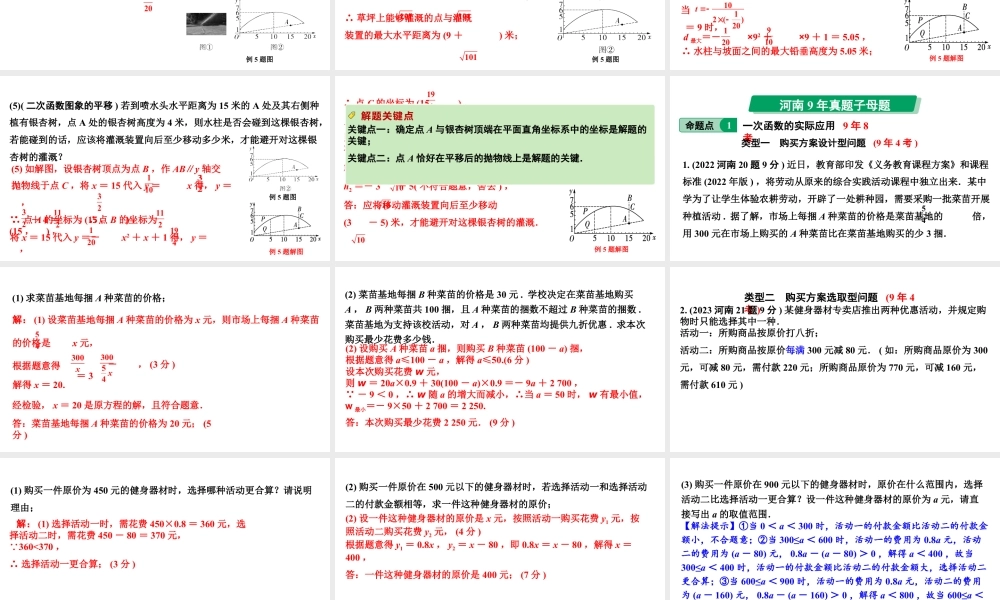 2024河南中考数学专题复习第三章 第十一节 函数的实际应用 课件.pptx