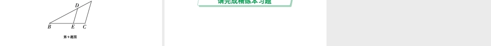 2024河南中考数学专题复习第四章 第一节 线段、角、相交线与平行线 课件.pptx