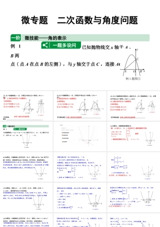 2024辽宁中考数学二轮专题复习 微专题 二次函数与角度问题（课件）.pptx