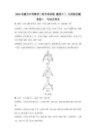 2024内蒙古中考数学二轮专项训练 题型十二 几何综合题（含答案）.pdf