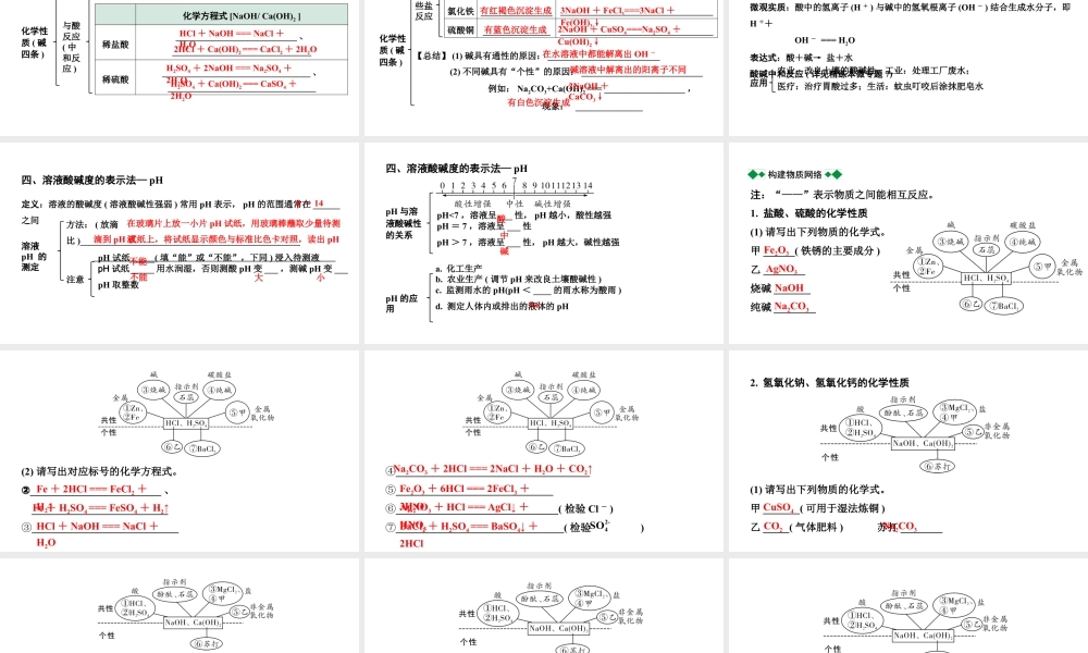 2024北部湾经济区中考化学二轮复习主题一  常见的酸和碱  （课件）.pptx