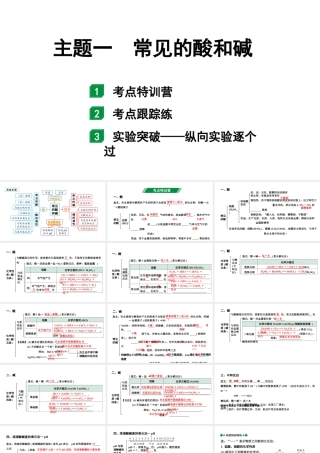 2024北部湾经济区中考化学二轮复习主题一  常见的酸和碱  （课件）.pptx