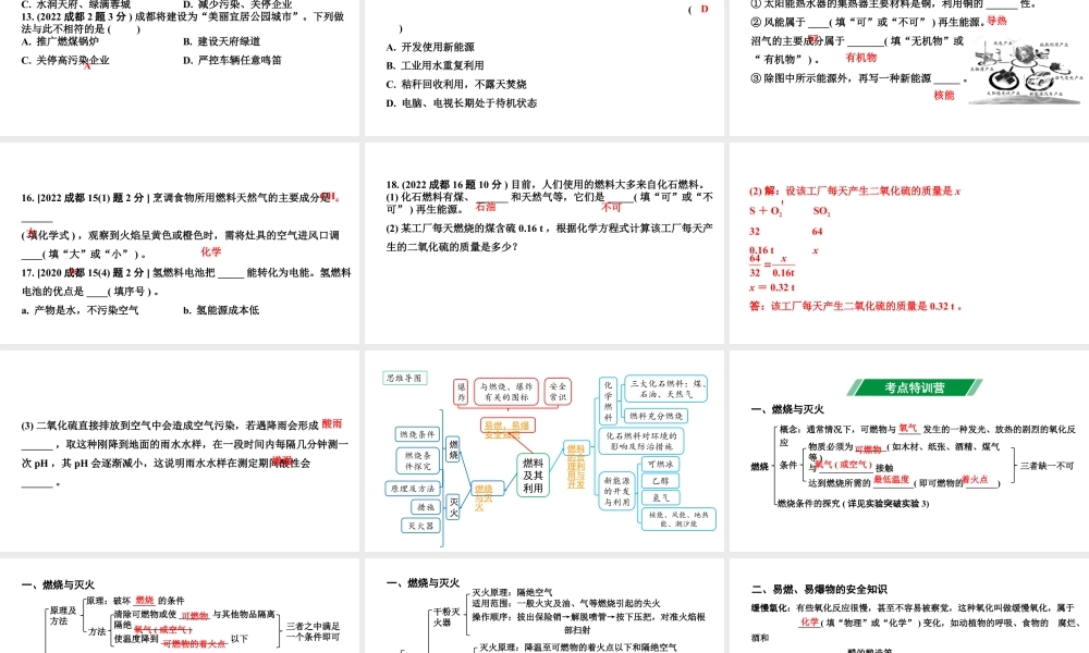 2024成都中考化学二轮复习 第七单元 燃料及其利用（课件）.ppt