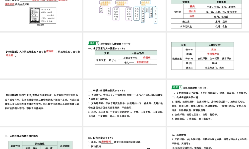 2024成都中考化学二轮复习之中考题型研究 第十二单元 化学与生活（课件）.pptx