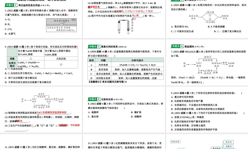 2024成都中考化学二轮复习之中考题型研究 第十一单元　盐　化肥（课件）.pptx