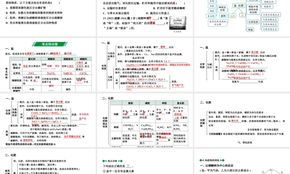 2024成都中考化学二轮复习之中考题型研究 第十一单元　盐　化肥（课件）.pptx