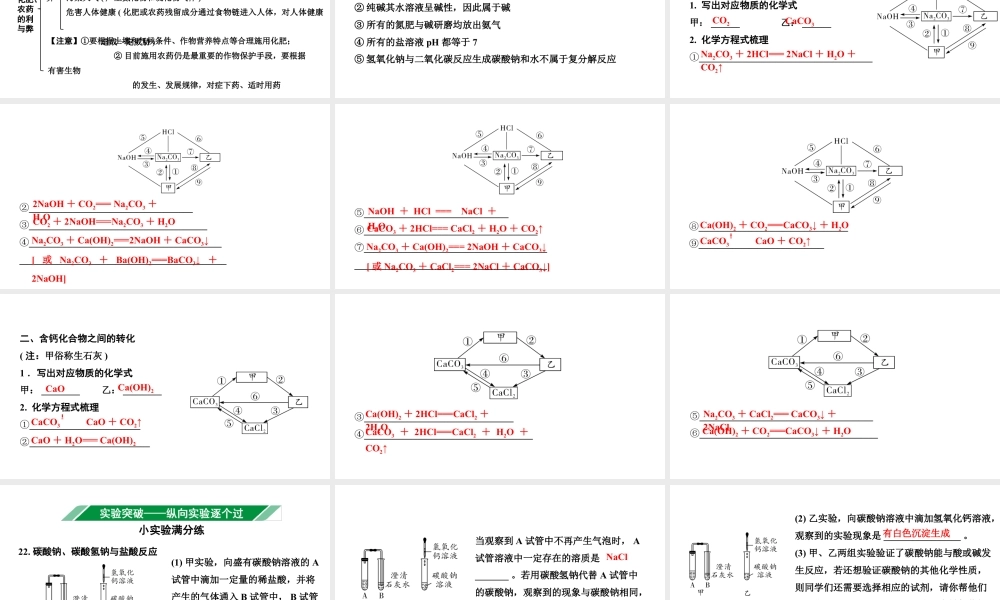 2024成都中考化学二轮复习之中考题型研究 第十一单元　盐　化肥（课件）.pptx