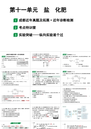 2024成都中考化学二轮复习之中考题型研究 第十一单元　盐　化肥（课件）.pptx