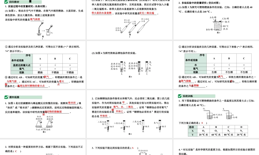 2024成都中考化学二轮复习之中考题型研究 专题二 横向实验归类练（课件）.pptx