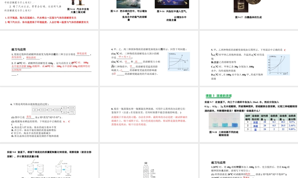 2024成都中考化学复习“四清”回归教材 第九单元溶液 课件.pptx