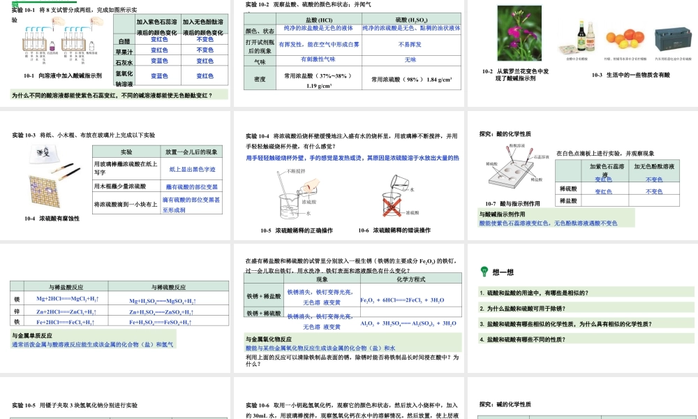 2024成都中考化学复习“四清”回归教材 第十单元酸和碱 课件.pptx