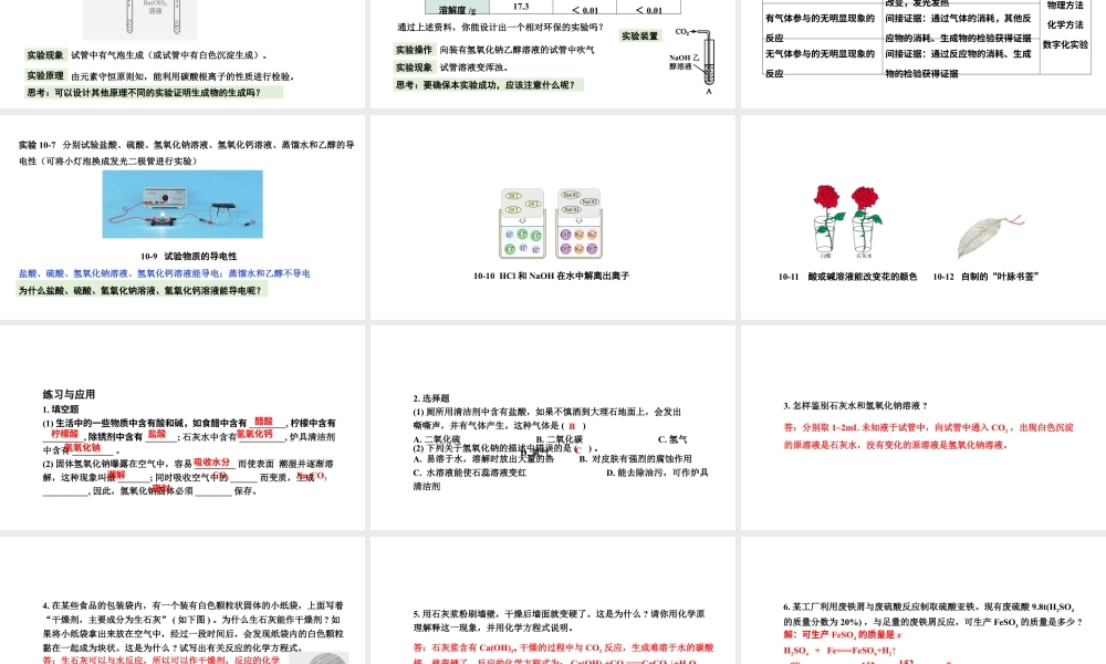 2024成都中考化学复习“四清”回归教材 第十单元酸和碱 课件.pptx