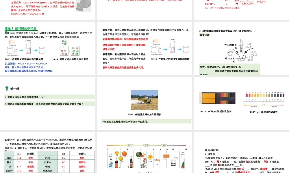 2024成都中考化学复习“四清”回归教材 第十单元酸和碱 课件.pptx