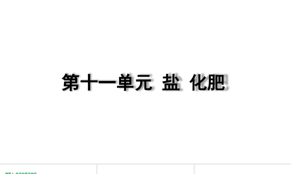 2024成都中考化学复习“四清”回归教材11第十一单元盐化肥 课件.pptx