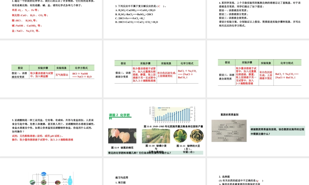 2024成都中考化学复习“四清”回归教材11第十一单元盐化肥 课件.pptx