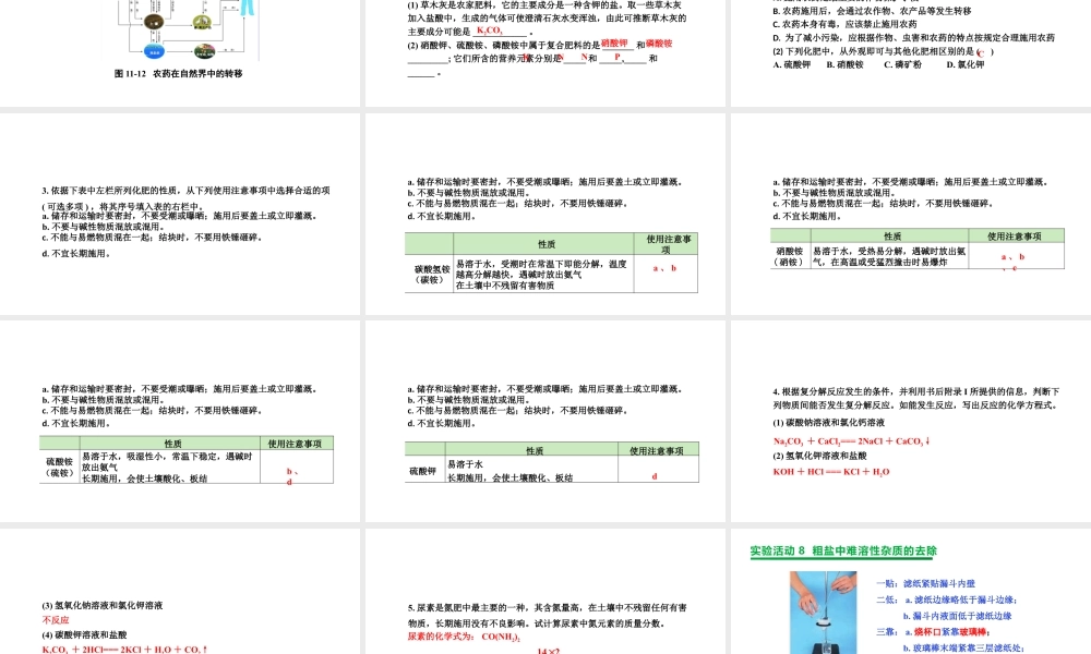 2024成都中考化学复习“四清”回归教材11第十一单元盐化肥 课件.pptx