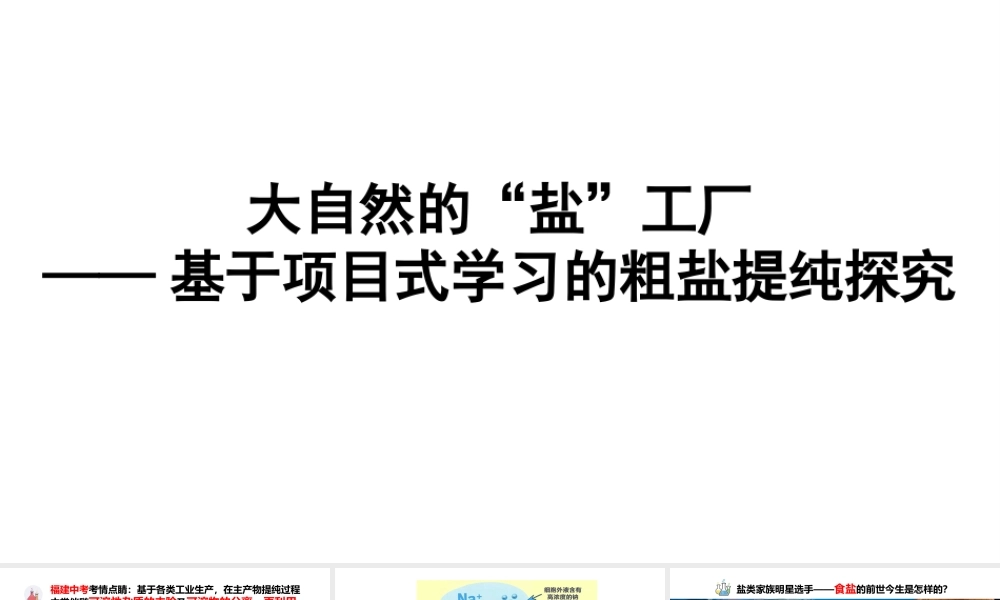 2024成都中考化学复习-大自然的“盐”工厂——基于项目式学习的粗盐提纯探究 课件.pptx