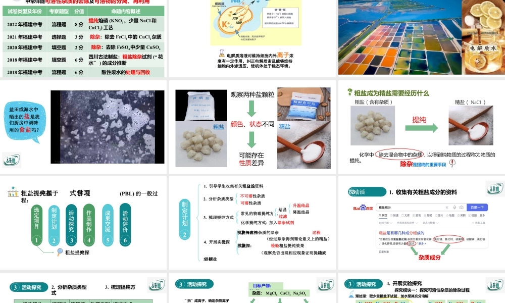 2024成都中考化学复习-大自然的“盐”工厂——基于项目式学习的粗盐提纯探究 课件.pptx