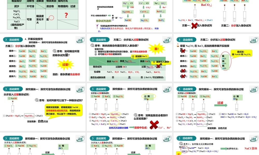 2024成都中考化学复习-大自然的“盐”工厂——基于项目式学习的粗盐提纯探究 课件.pptx