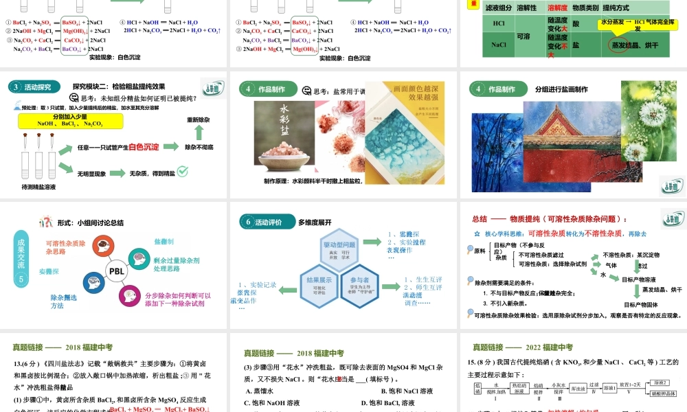 2024成都中考化学复习-大自然的“盐”工厂——基于项目式学习的粗盐提纯探究 课件.pptx