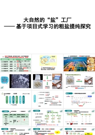 2024成都中考化学复习-大自然的“盐”工厂——基于项目式学习的粗盐提纯探究 课件.pptx