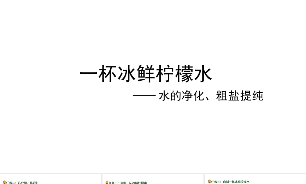 2024成都中考化学试题研究大单元复习-冰鲜柠檬水 第2课时 水的净化、粗盐提纯度 课件.pptx