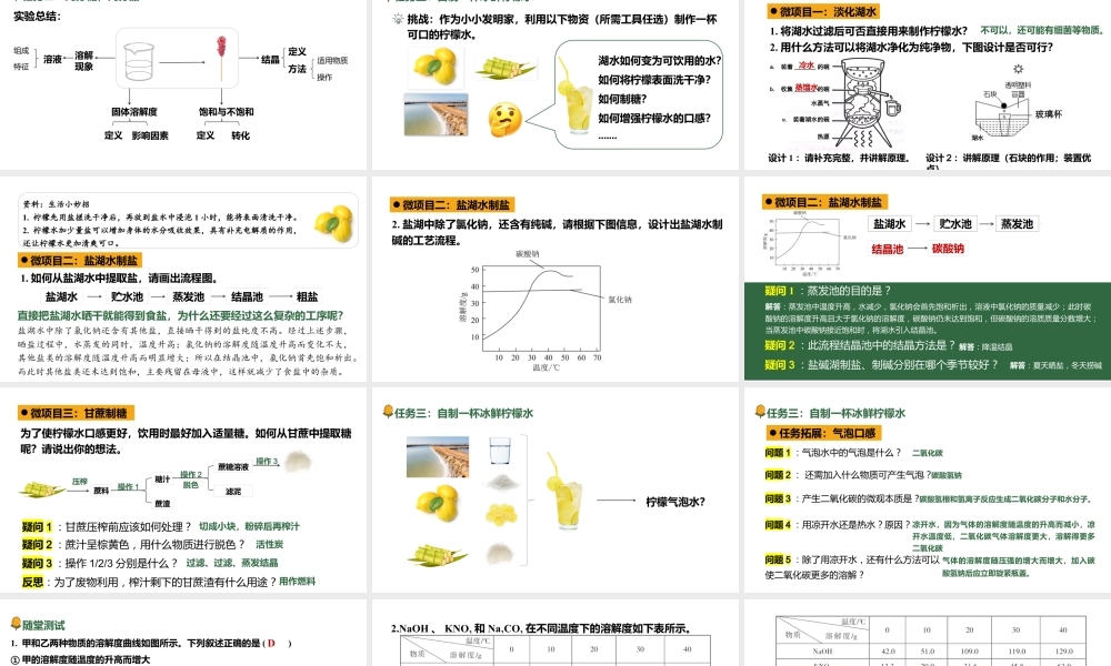 2024成都中考化学试题研究大单元复习-冰鲜柠檬水 第2课时 水的净化、粗盐提纯度 课件.pptx