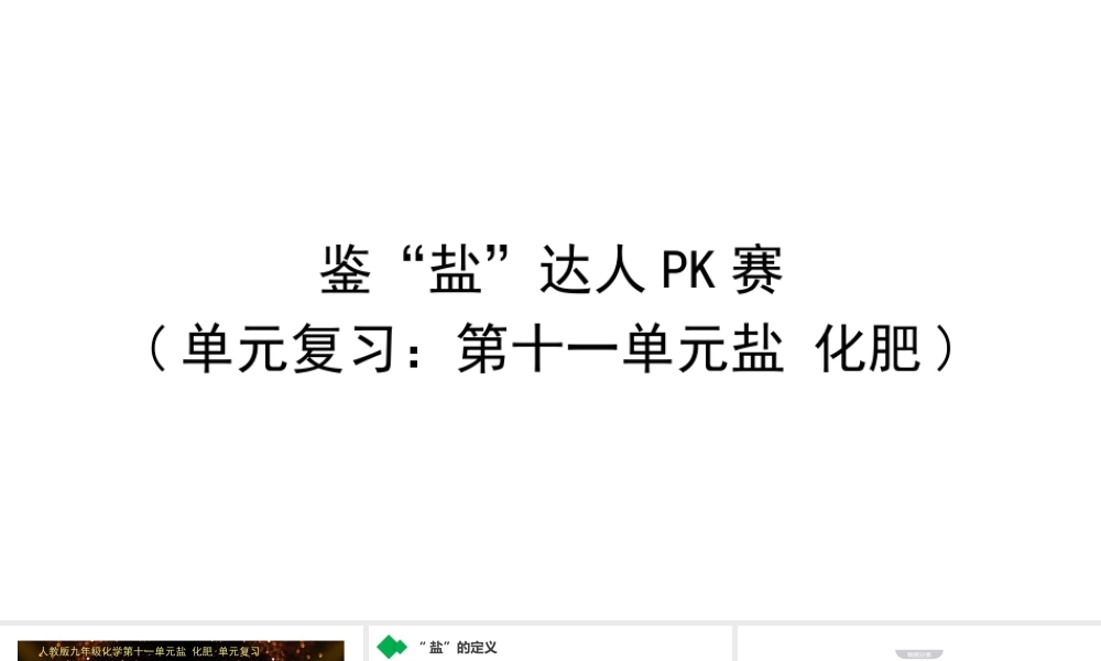 2024成都中考化学试题研究大单元复习-鉴“盐”达人PK赛 课件.pptx