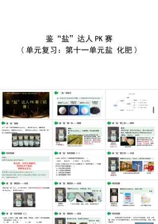 2024成都中考化学试题研究大单元复习-鉴“盐”达人PK赛 课件.pptx