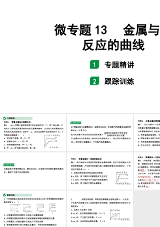2024福建中考化学二轮中考题型研究 微专题13 金属与酸反应的曲线（课件）.pptx